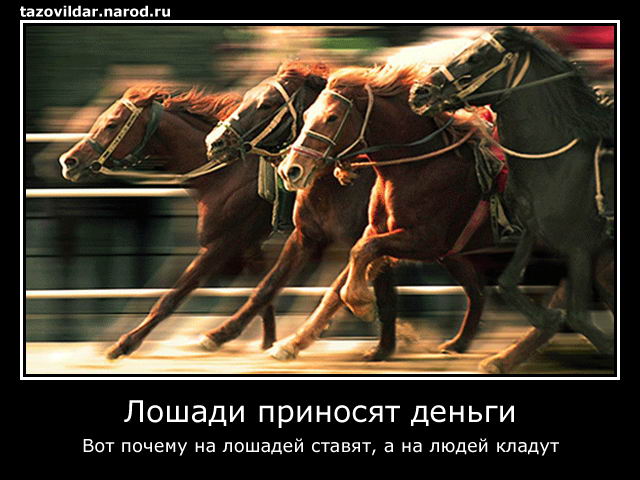 Демотиваторы: Лошади приносят деньги